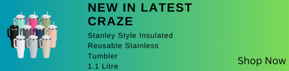 Stanley Style Insulated Reusable Stainless Steel Tumbler