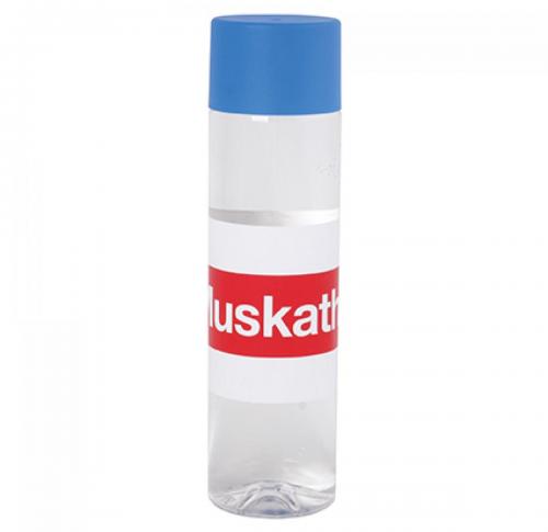 Promotional Water 500ml
