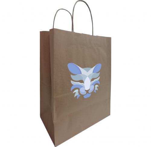Budget Paper Carrier  Bag, Twisted Handles - 180 X 80 X 120 Mm