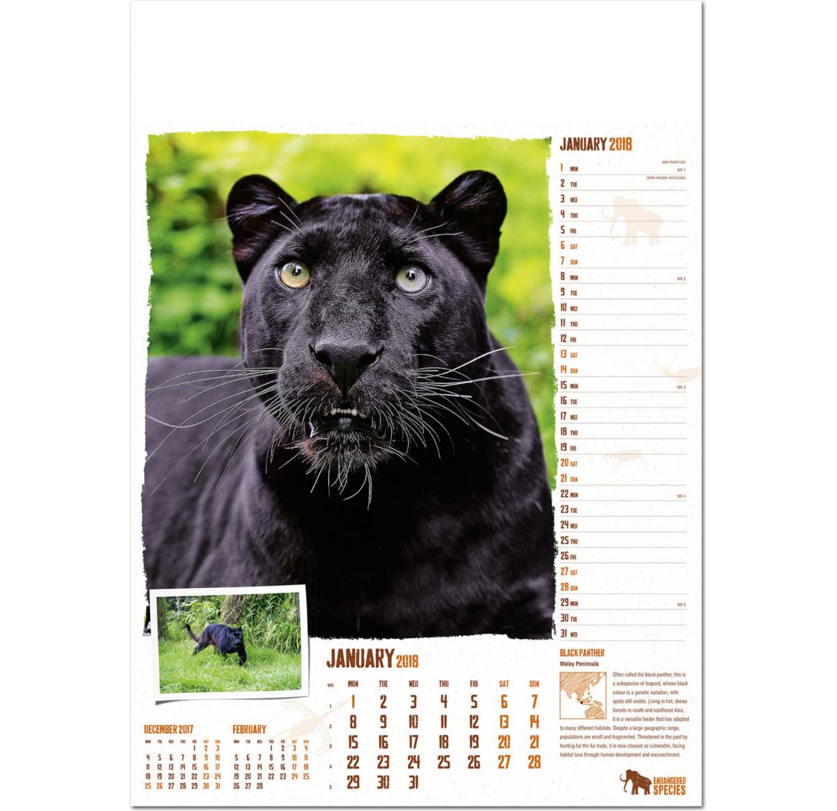 Endangered Species Wall Calendar 2024 Buy Promotional Products UK