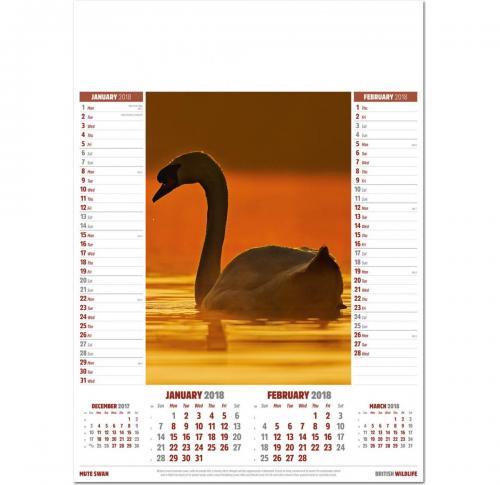 Printed Logo 2025 Wall Calendars British Wildlife 