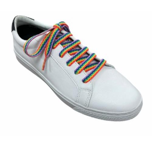 Rainbow Shoe Laces Gay Pride